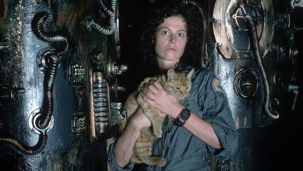 Alien 1979 Movie